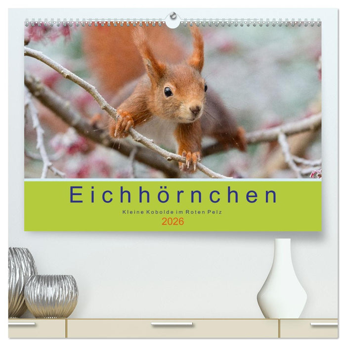 Eichhörnchen - Kleine Kobolde im Roten Pelz (CALVENDO Premium Wandkalender 2026)