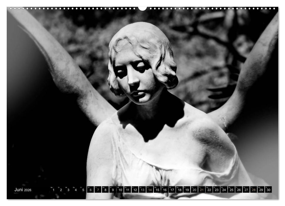 Engel-Träume (CALVENDO Wandkalender 2026)