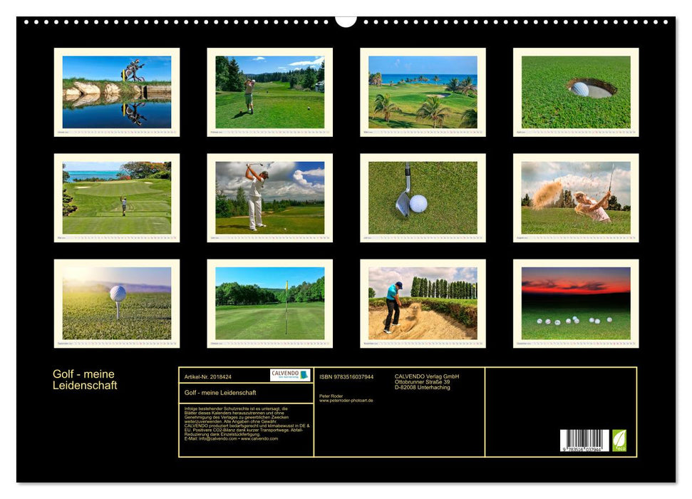 Golf - meine Leidenschaft (CALVENDO Wandkalender 2026)