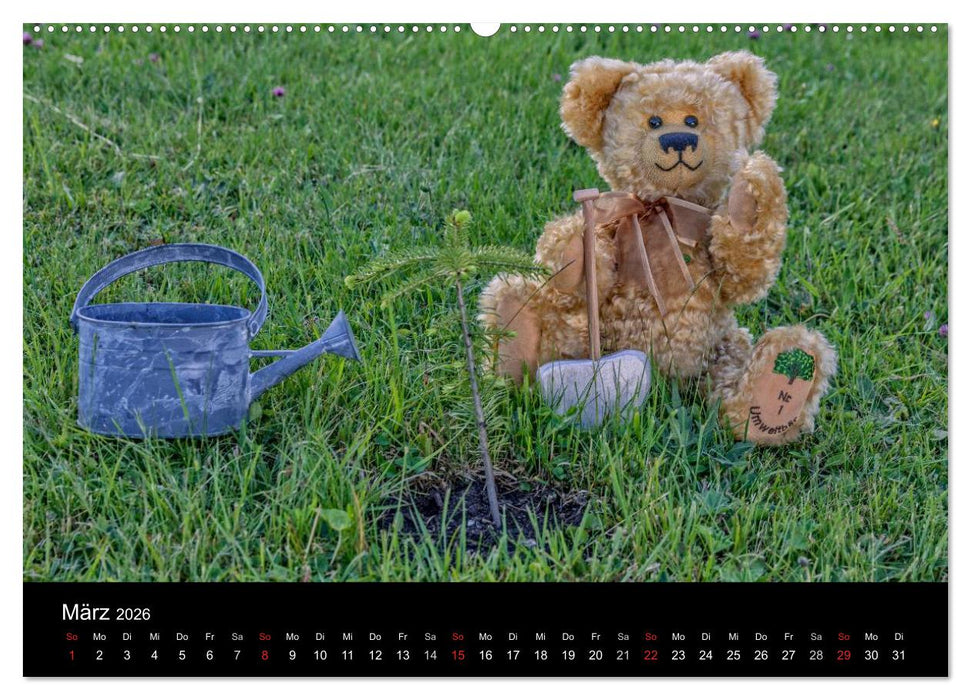 Martin Bären (CALVENDO Wandkalender 2026)