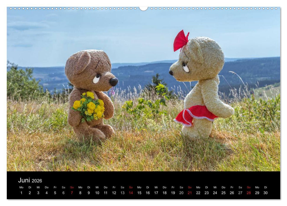 Martin Bären (CALVENDO Wandkalender 2026)