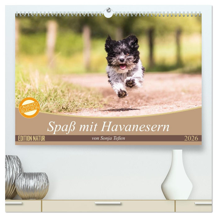 Spaß mit Havanesern (CALVENDO Premium Wandkalender 2026)