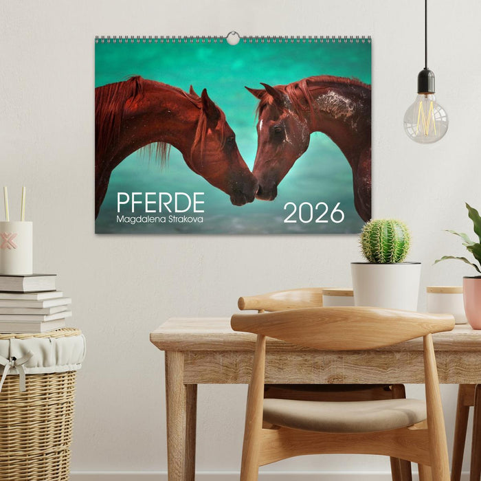 Pferde - Magdalena Strakova (CALVENDO Wandkalender 2026)