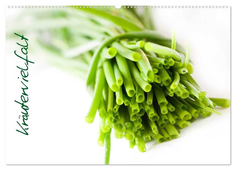 Kräutervielfalt (CALVENDO Wandkalender 2026)