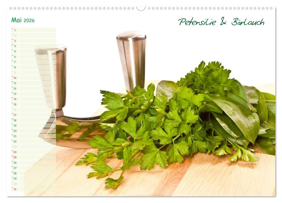 Kräutervielfalt (CALVENDO Wandkalender 2026)