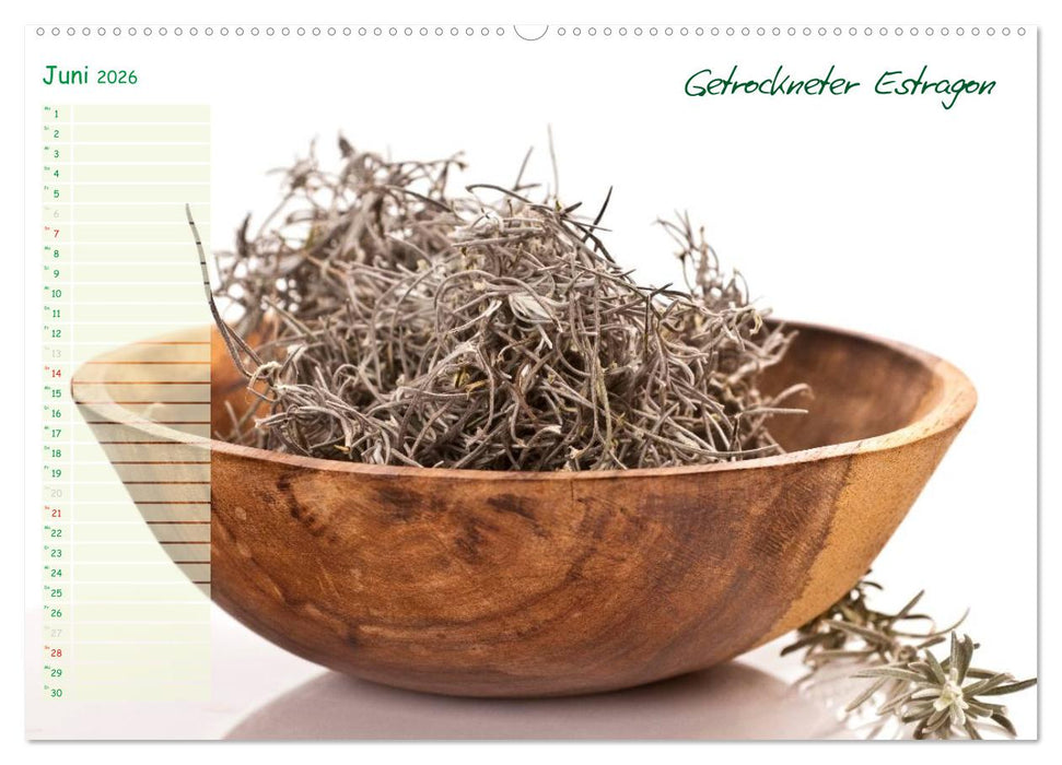 Kräutervielfalt (CALVENDO Wandkalender 2026)