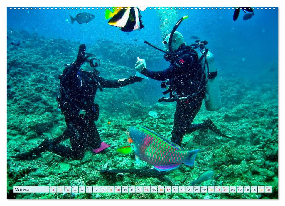 Tauchen - Abenteuer unter Wasser (CALVENDO Premium Wandkalender 2026)