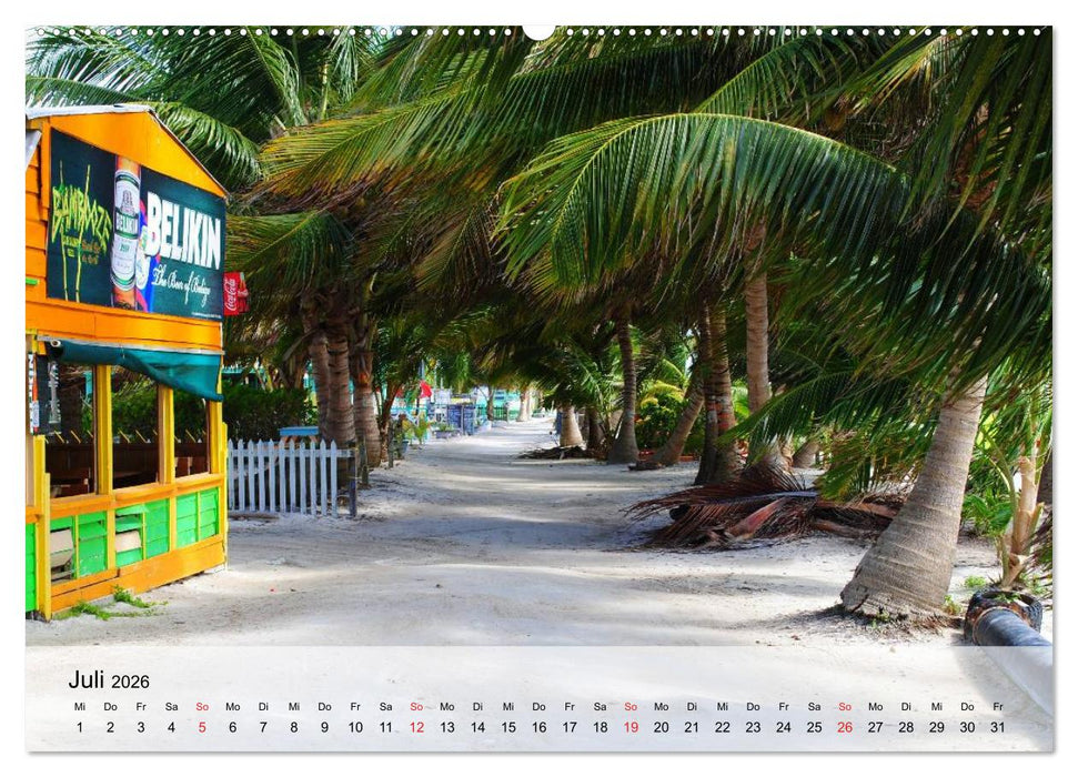 Belize. Karibik-Perle Caye Caulker (CALVENDO Premium Wandkalender 2026)