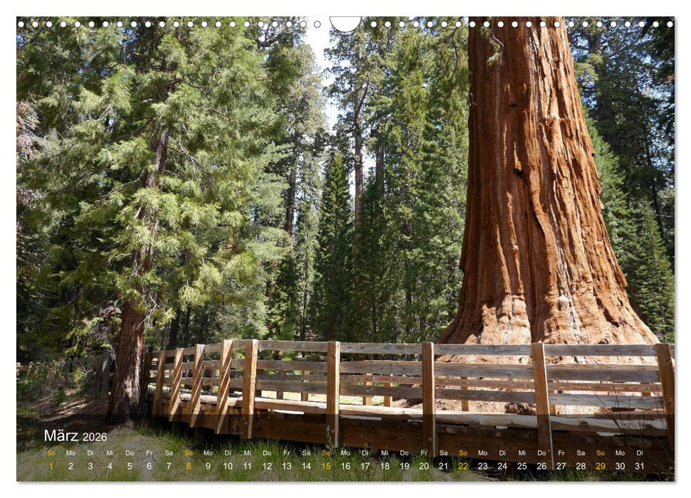 Der Südwesten der USA (CALVENDO Wandkalender 2026)