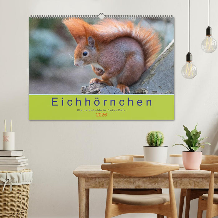 Eichhörnchen - Kleine Kobolde im Roten Pelz (CALVENDO Wandkalender 2026)