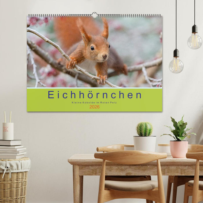 Eichhörnchen - Kleine Kobolde im Roten Pelz (CALVENDO Wandkalender 2026)