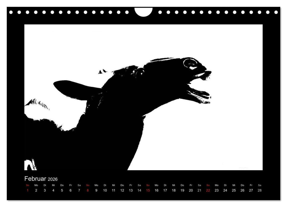 Ruhrpott und Niederrhein in Schwarzweiß (CALVENDO Wandkalender 2026)