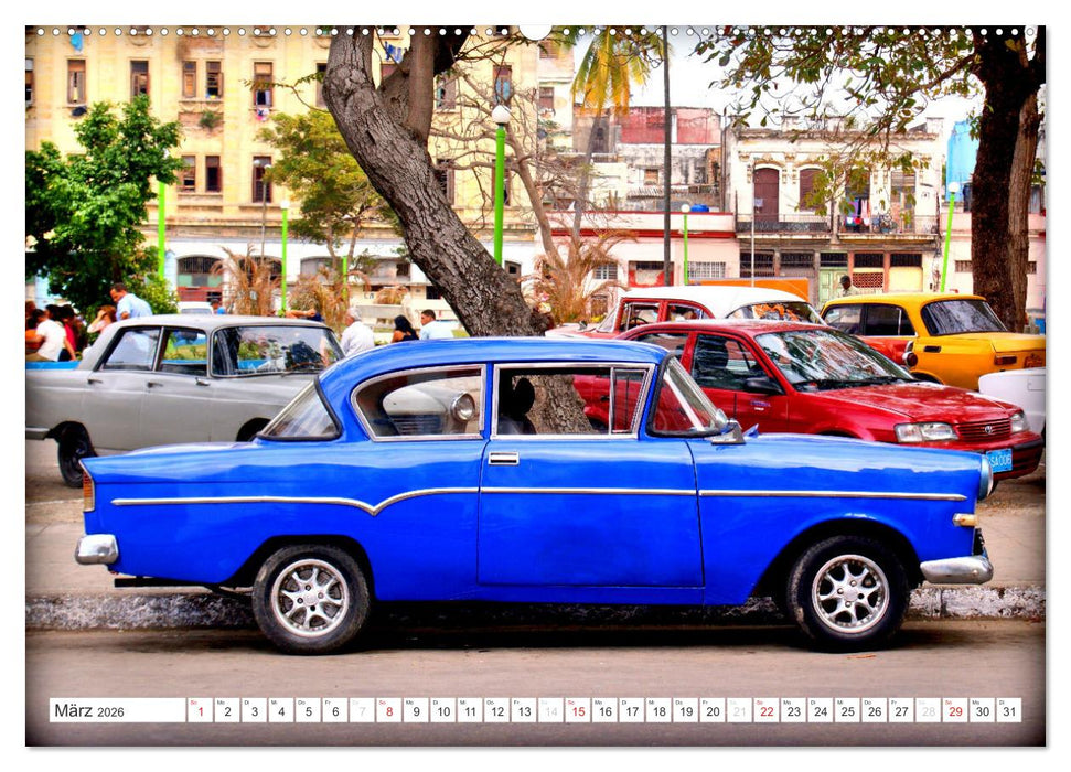 OPEL REKORD P1 (CALVENDO Wandkalender 2026)