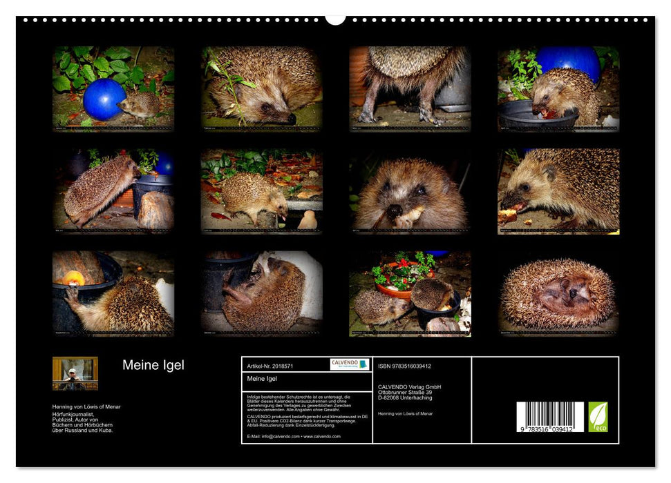 Meine Igel (CALVENDO Premium Wandkalender 2026)