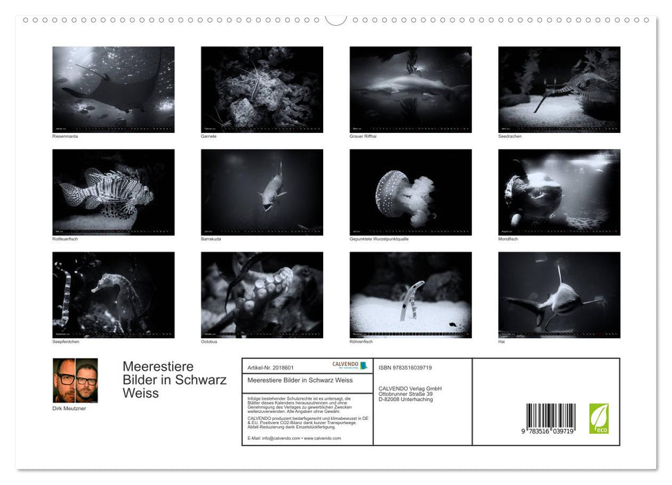 Meerestiere Bilder in Schwarz Weiss (CALVENDO Premium Wandkalender 2026)