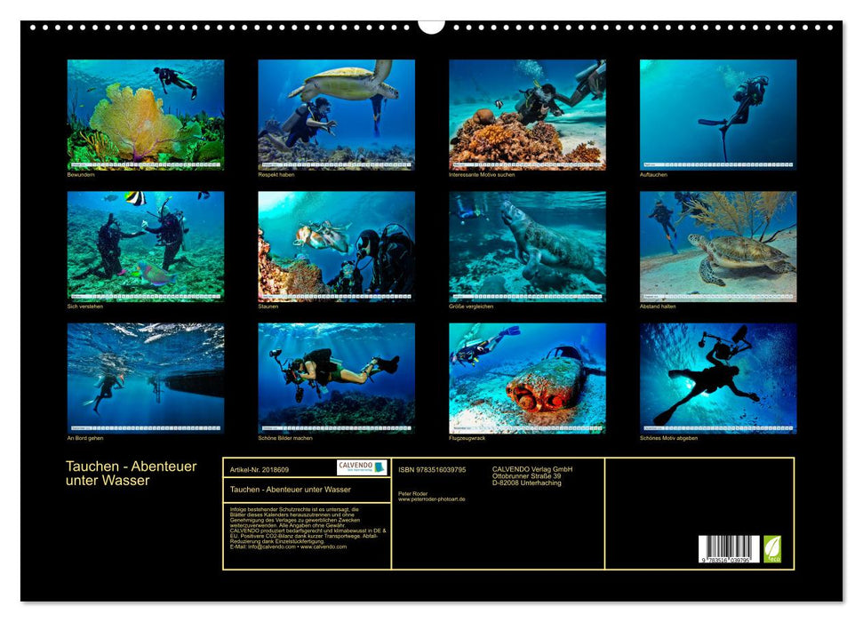 Tauchen - Abenteuer unter Wasser (CALVENDO Wandkalender 2026)