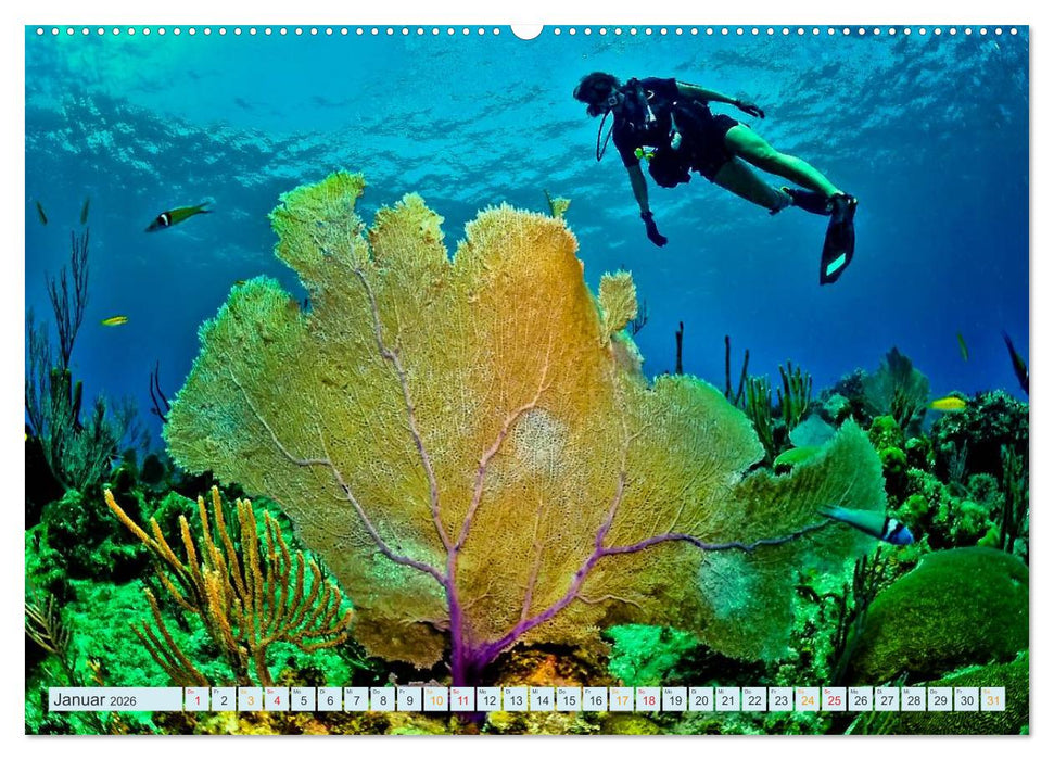 Tauchen - Abenteuer unter Wasser (CALVENDO Wandkalender 2026)