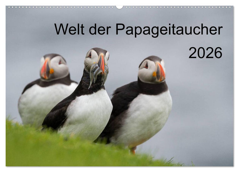 Welt der Papageitaucher (CALVENDO Wandkalender 2026)