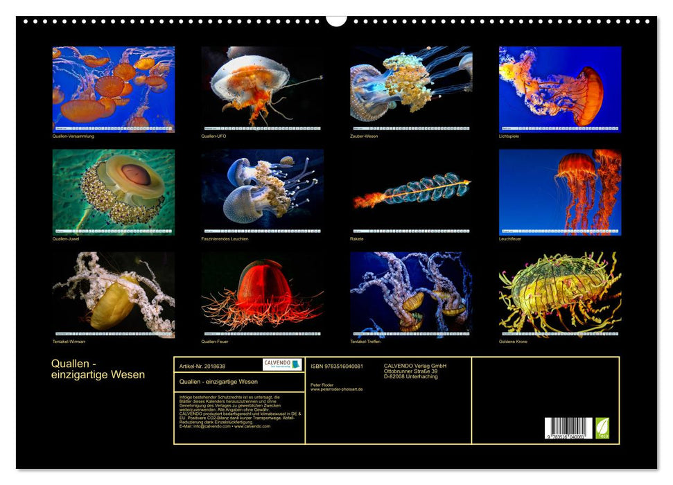 Quallen - einzigartige Wesen (CALVENDO Wandkalender 2026)