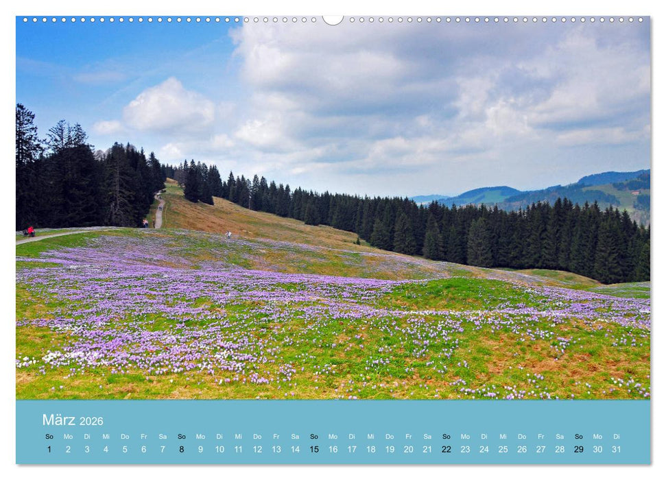 Romantisches Allgäu (CALVENDO Premium Wandkalender 2026)