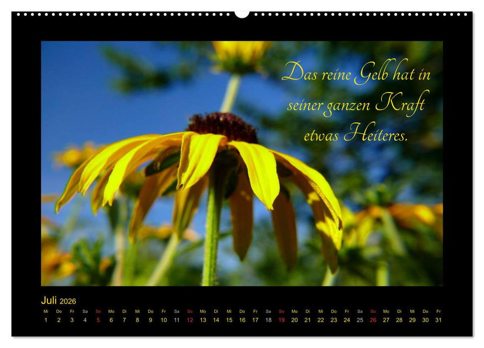 Goethes Gelb Gedanken zur Farbe (CALVENDO Premium Wandkalender 2026)