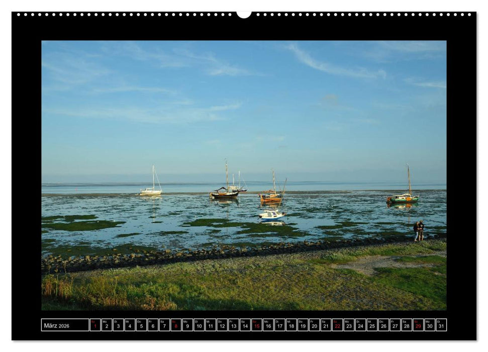 Westfriesische Inseln 2026 (CALVENDO Premium Wandkalender 2026)