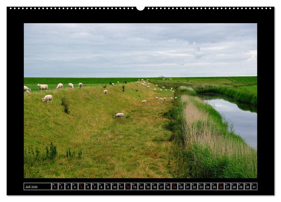 Westfriesische Inseln 2026 (CALVENDO Premium Wandkalender 2026)