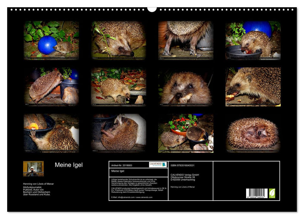 Meine Igel (CALVENDO Wandkalender 2026)
