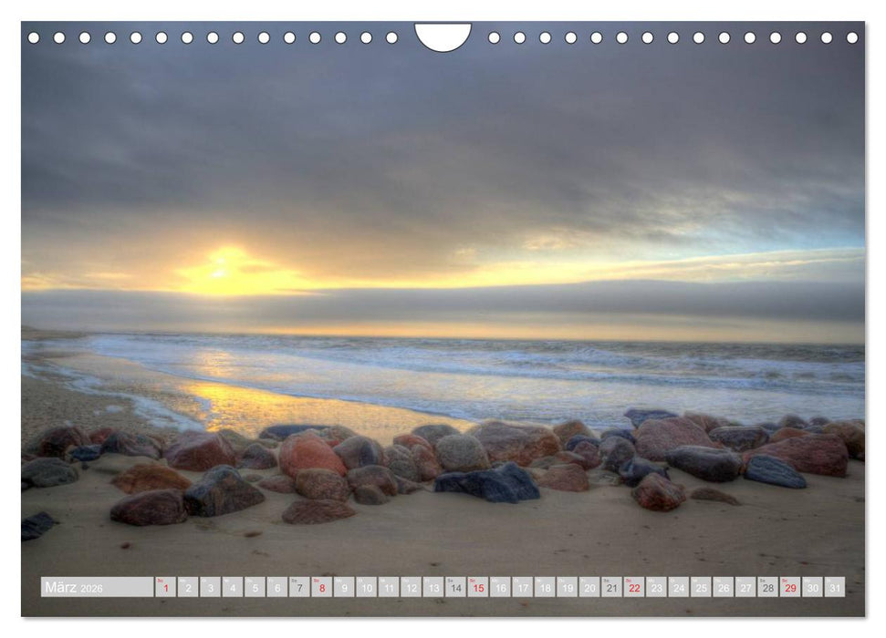 Dänische Westküste (CALVENDO Wandkalender 2026)