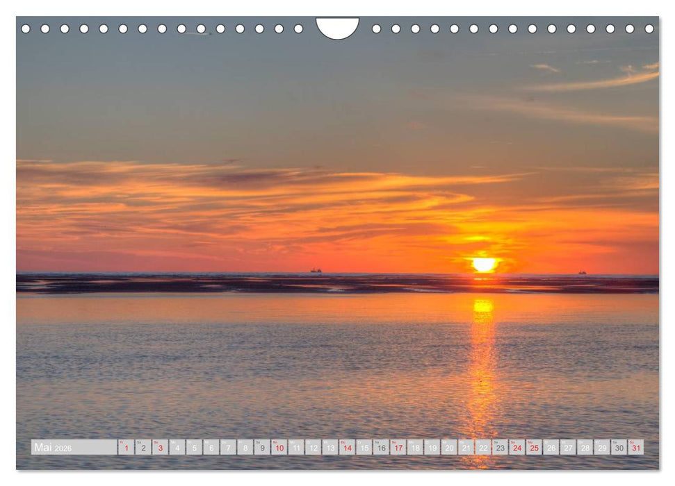 Dänische Westküste (CALVENDO Wandkalender 2026)