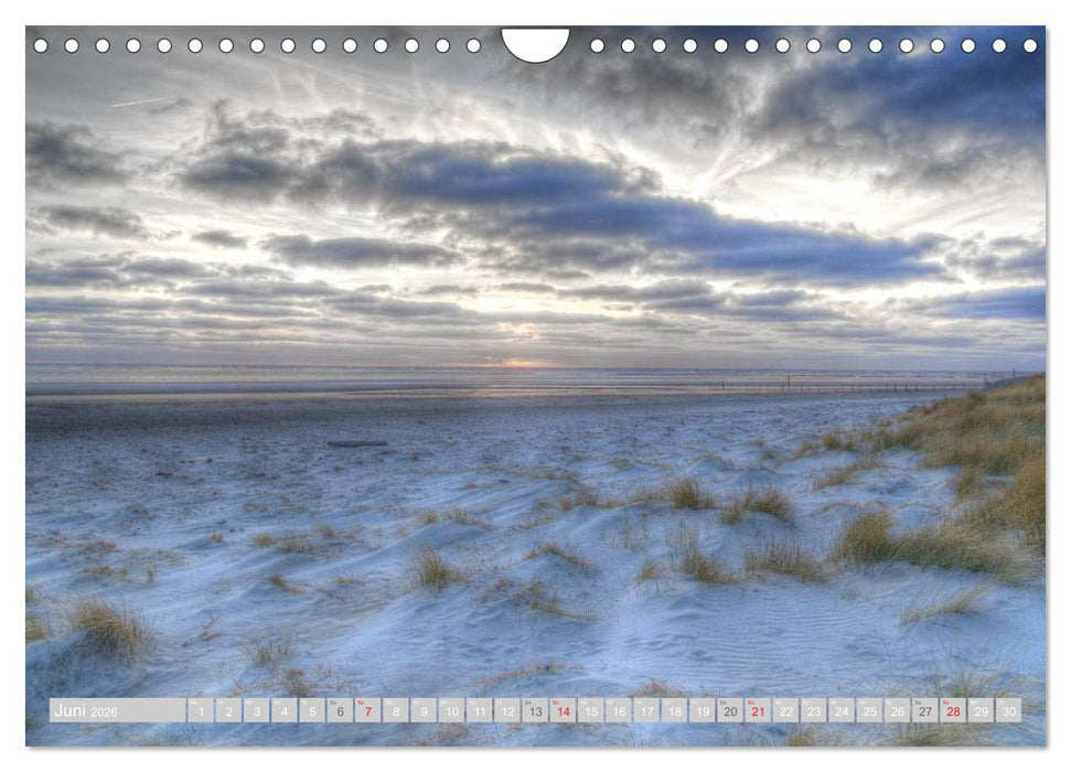 Dänische Westküste (CALVENDO Wandkalender 2026)