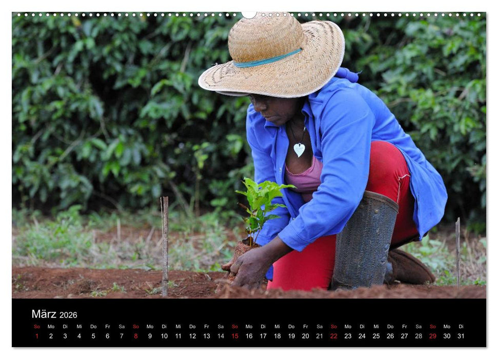 Zu Besuch beim Kaffee (CALVENDO Premium Wandkalender 2026)