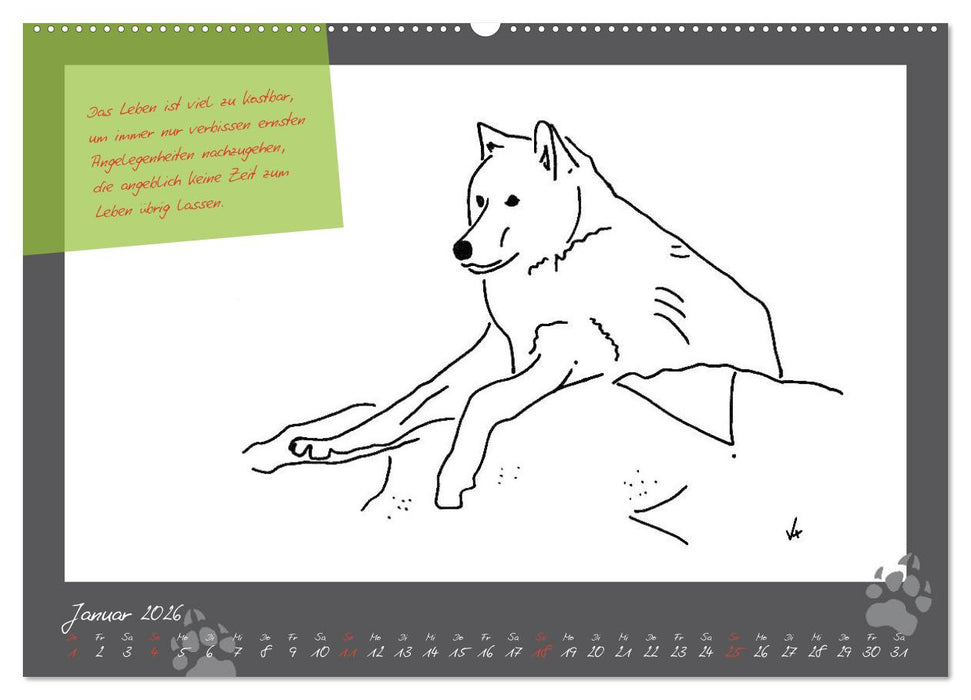 Der kleine GROSSE Wolf - Kalender (CALVENDO Premium Wandkalender 2026)