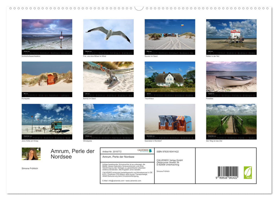 Amrum, Perle der Nordsee (CALVENDO Premium Wandkalender 2026)