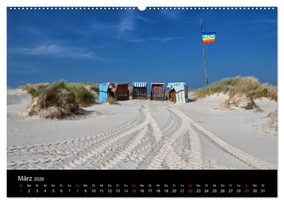 Amrum, Perle der Nordsee (CALVENDO Premium Wandkalender 2026)