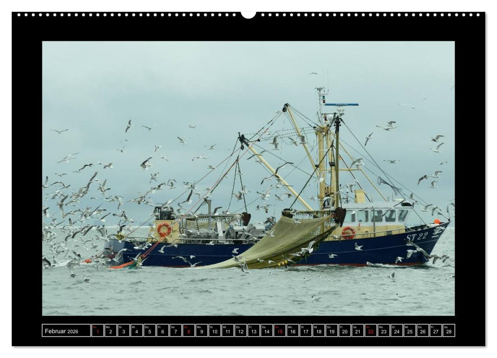 Westfriesische Inseln 2026 (CALVENDO Wandkalender 2026)