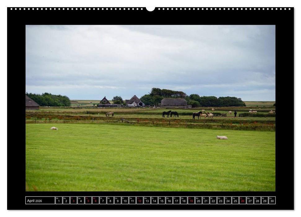 Westfriesische Inseln 2026 (CALVENDO Wandkalender 2026)