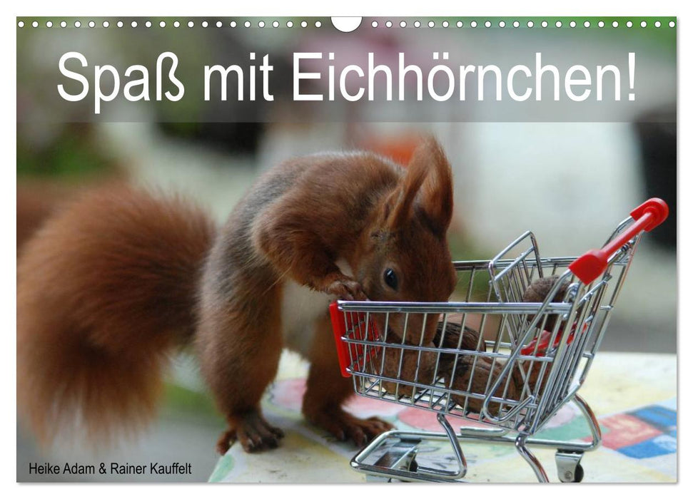 Spaß mit Eichhörnchen! (CALVENDO Wandkalender 2026)