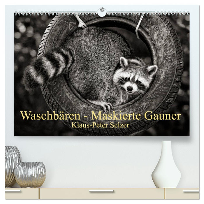Waschbären - Maskierte Gauner (CALVENDO Premium Wandkalender 2026)