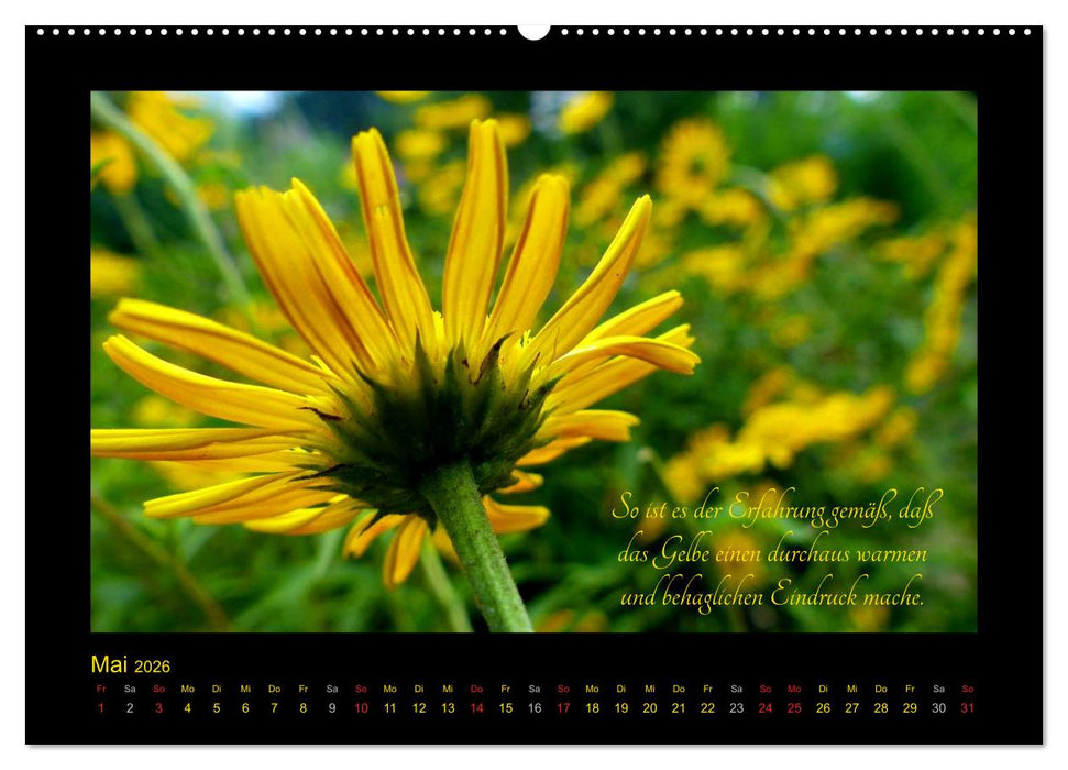 Goethes Gelb Gedanken zur Farbe (CALVENDO Wandkalender 2026)