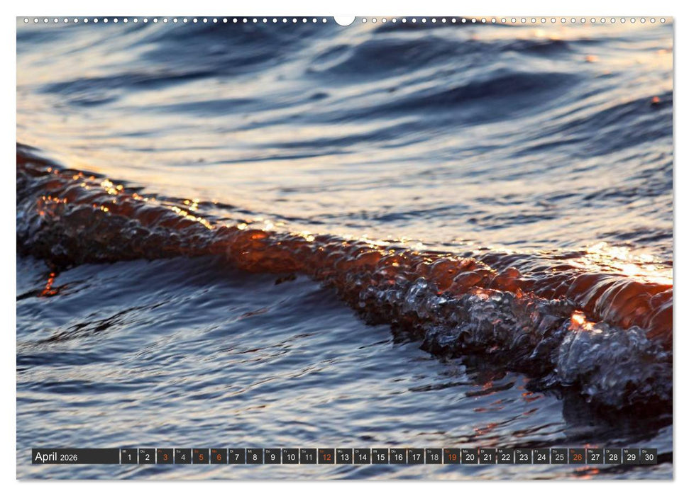 Föhr und Amrum - Spaziergänge am Meer (CALVENDO Wandkalender 2026)