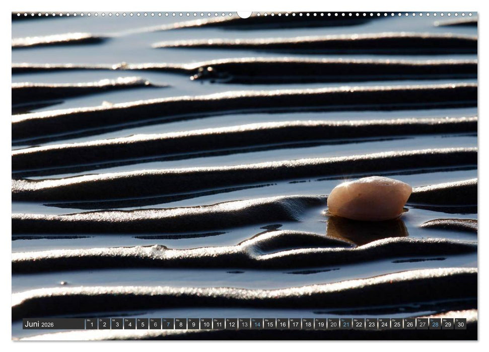 Föhr und Amrum - Spaziergänge am Meer (CALVENDO Wandkalender 2026)