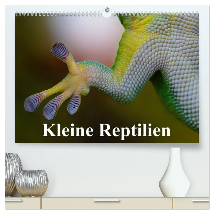 Kleine Reptilien (CALVENDO Premium Wandkalender 2026)