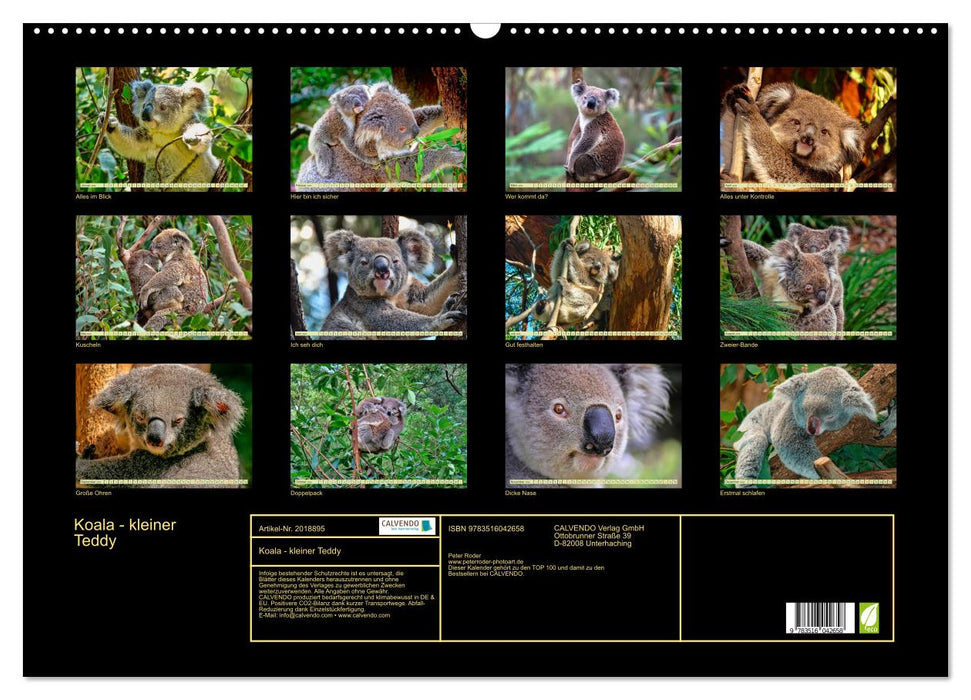 Koala - kleiner Teddy (CALVENDO Wandkalender 2026)