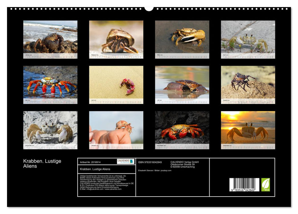 Krabben. Lustige Aliens (CALVENDO Premium Wandkalender 2026)
