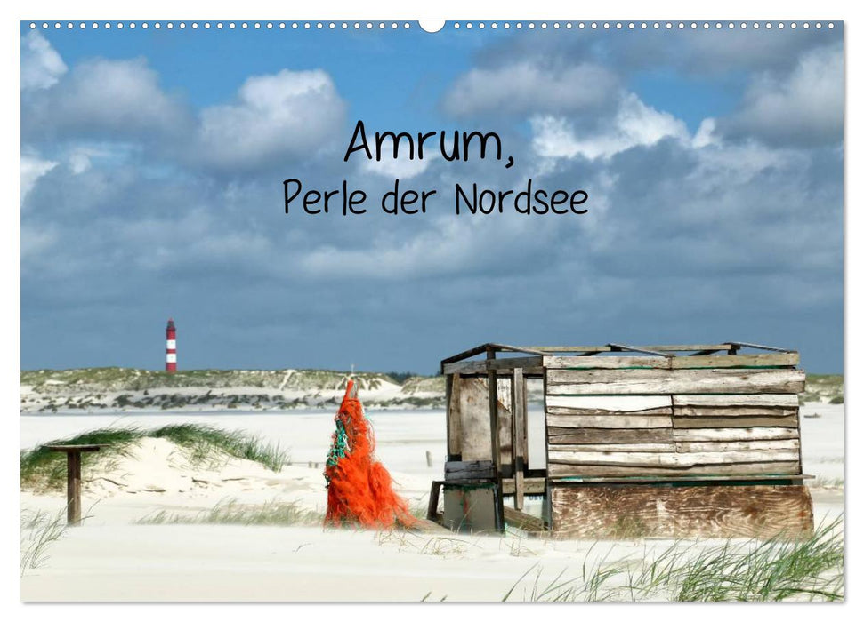 Amrum, Perle der Nordsee (CALVENDO Wandkalender 2026)
