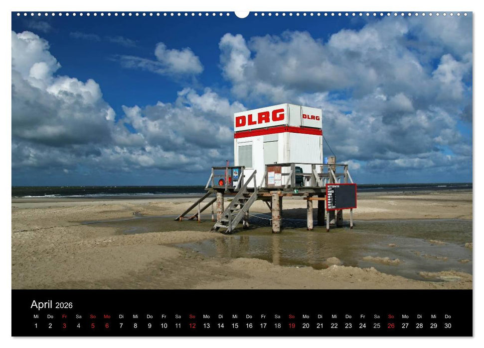 Amrum, Perle der Nordsee (CALVENDO Wandkalender 2026)