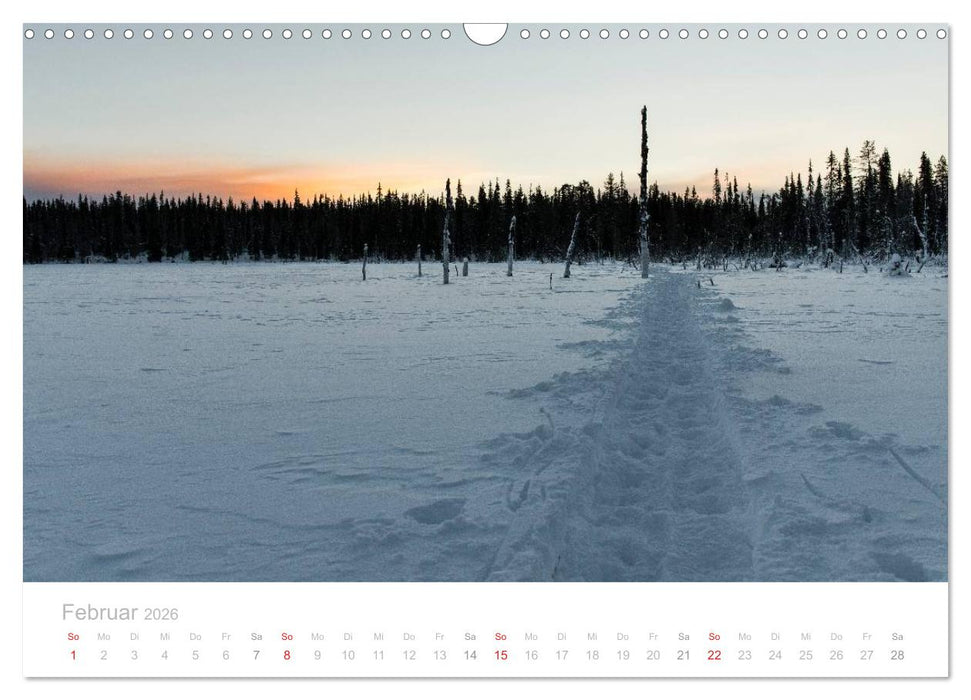 Heimat der Samen (CALVENDO Wandkalender 2026)