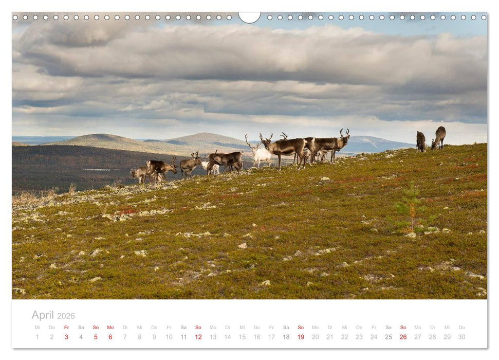 Heimat der Samen (CALVENDO Wandkalender 2026)