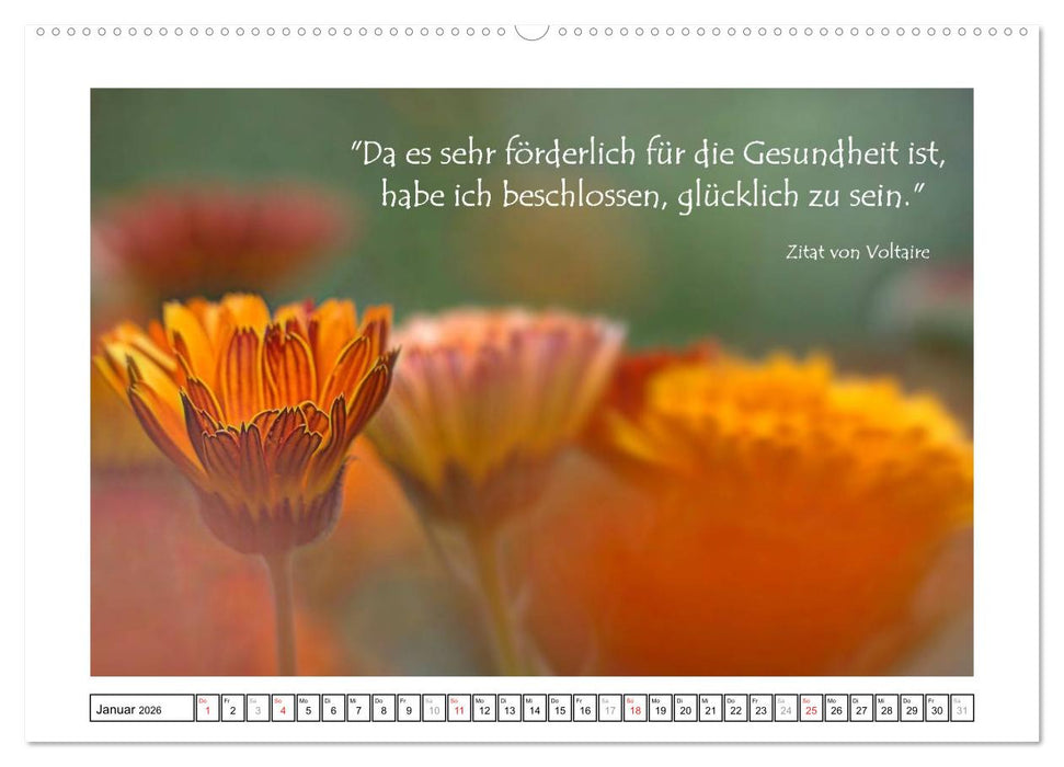 Zitate - Sammlung (CALVENDO Premium Wandkalender 2026)